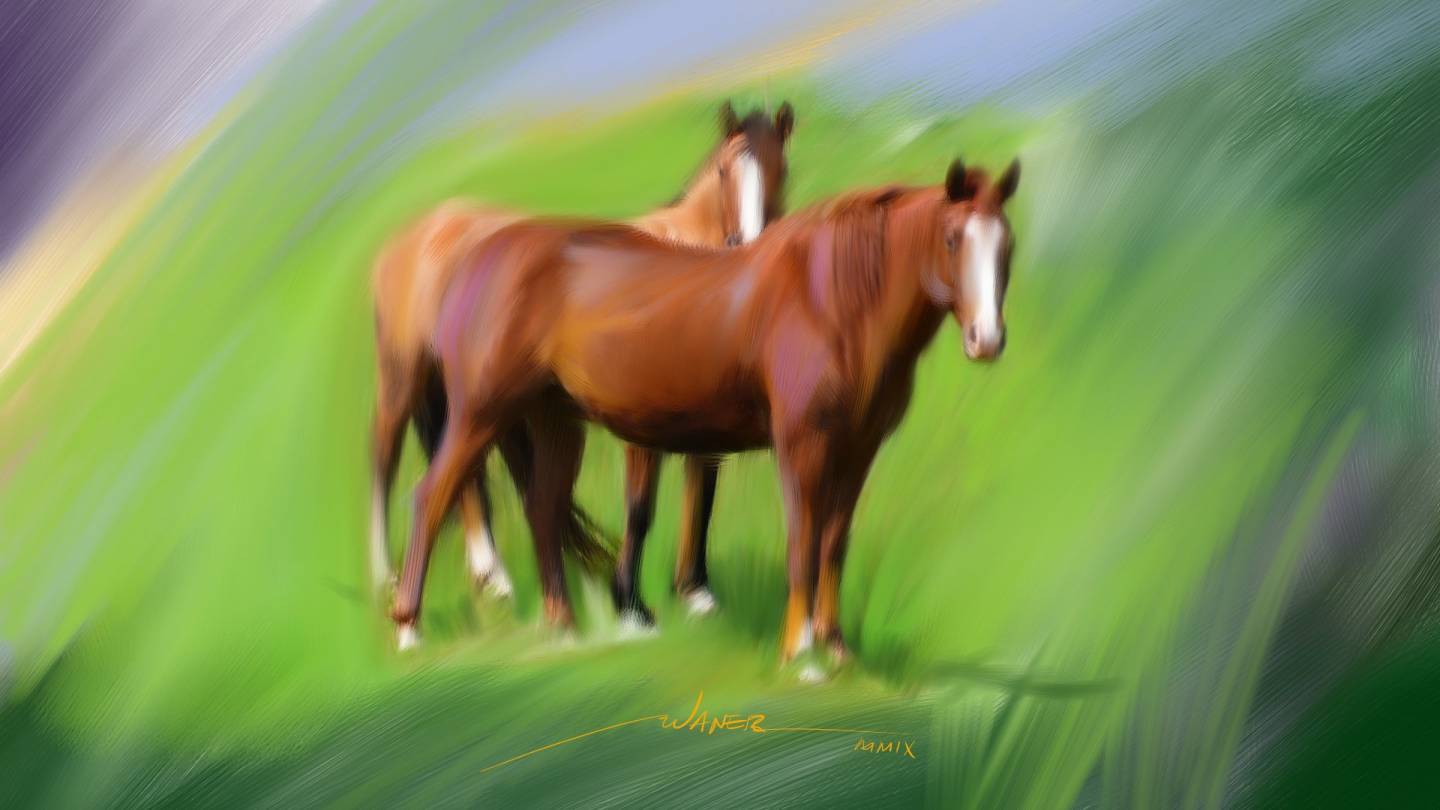 Horses in the Grass