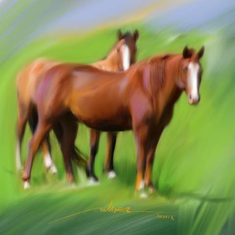 Horses in the Grass