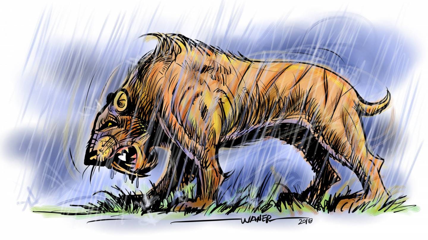 Sabertooth in the Rain