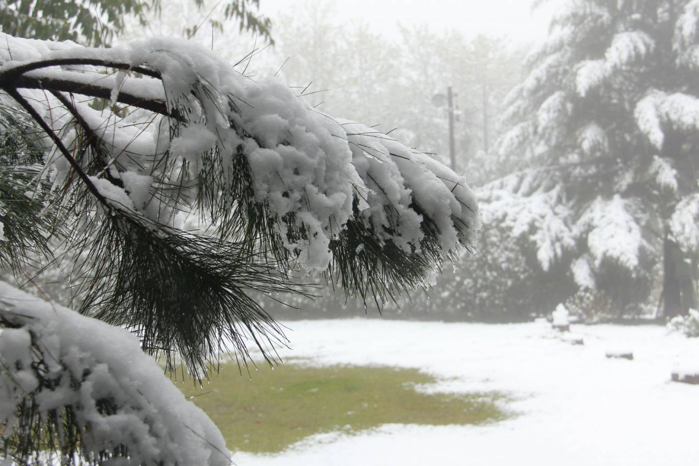 Ôba, Neve!